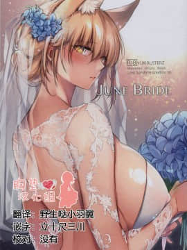 (C94) [こどもびーる (ユキバスターZ)] JUNE BRIDE マタニティフォトブック [中国翻訳]_JuneBride_01