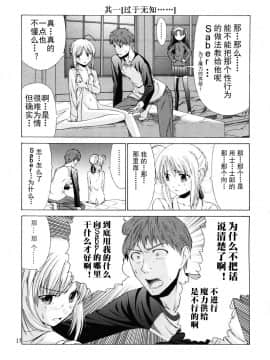 [OGC汉化组] (C67) [自称清純派 (ヒロユキ)] プラトニックマジシャンH (Fate stay night)_17