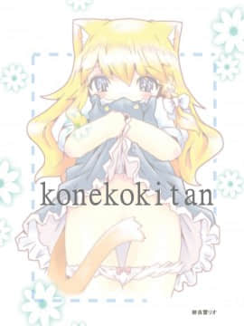 [落莲汉化组] [虹幻工房 (緋良雪リオ)] こねこ奇譚 (東方Project) [DL版]_25