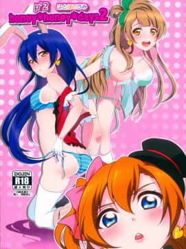 [古早个人汉化] (C90) [梟の郵便屋さん (上戸ルリ)] honey＊honey＊days2 (ラブライブ!)_01