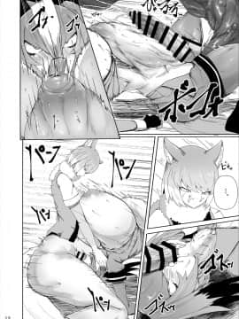 [紫苑汉化组] [網状意識 (カンバスそらりす)] ふたなりとハシビロコウさんと (けものフレンズ) [DL版]_12