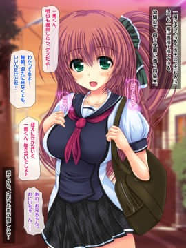 (同人CG集) [鮫野ソフトクリーム] 妹孕ませ お金貸してと言われて射精1発1000円でヤラせてくれる妹を孕ませた_263_ncg003