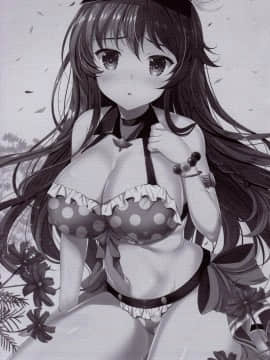 [v.v.t.m汉化组] (C90) [THE FLYERS (成瀬守)] Orderly Cage (グランブルーファンタジー)_02