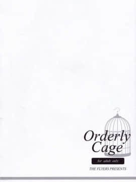[v.v.t.m汉化组] (C90) [THE FLYERS (成瀬守)] Orderly Cage (グランブルーファンタジー)_03