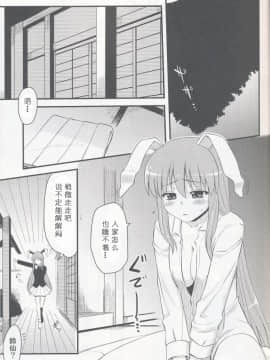 [绯色汉化组] [真聖堂☆本铺 (聖☆司)] 兎の見る夢 (東方Project)_03_03
