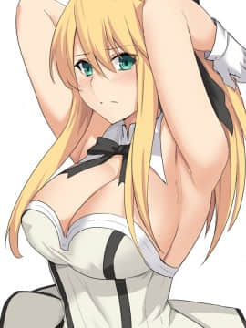 Pixiv ❤️ Siseki Hirame (3143223)_0520_69740921_p12_fgo35