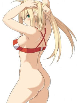 Pixiv ❤️ Siseki Hirame (3143223)_0573_68794563_p3_FGO29