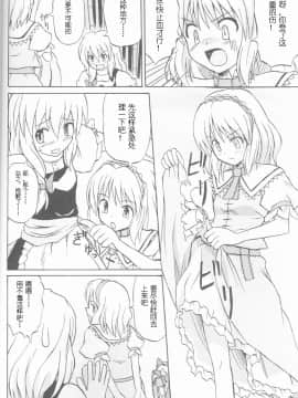 (C67) [高久屋 (高久としひこ)] 東方妖女乱舞 (東方Project)_06