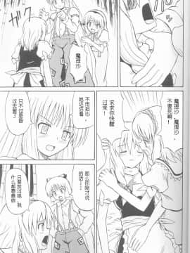 (C67) [高久屋 (高久としひこ)] 東方妖女乱舞 (東方Project)_11