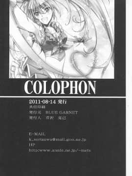 [不咕鸟汉化组] (C80) [BLUE GARNET (芹沢克己)] 夢幻抱擁 (スイートプリキュア)_51