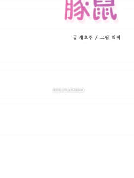 初恋豚鼠 1-52話[完結]_1416