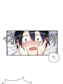 初恋豚鼠 1-52話[完結]_0389