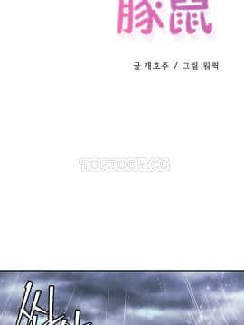 初恋豚鼠 1-52話[完結]_0637