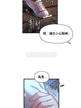 初恋豚鼠 1-52話[完結]_0971