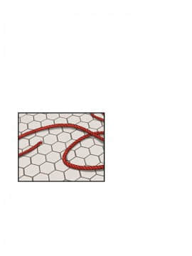 哥哥的秘书 1-32話[完結]_0374