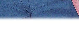 老婆的闺蜜 1-90話[完結]_0971
