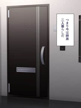 [アスタローサン (Fishumai)] 無職の巨乳姉が社会人の弟に寄生する為に誘惑した結果_003