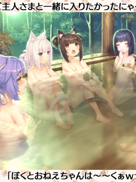 [NEKO WORKs] ネコぱら vol.4 ネコとパティシェのノエル_x_eyecatchvol4_0004