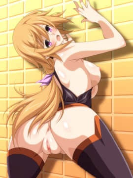 [Pixiv FANBOX] KA2 (10337)  (Infinite Stratos)_098_loDDbOUoxvAzahY0J4ab0JBR
