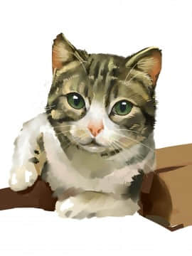 [ctrlz77] “Twitter”图集_1497465-375