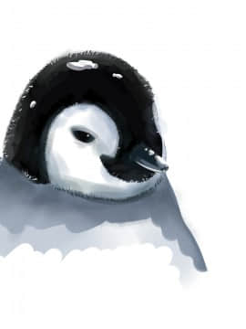 [ctrlz77] “Twitter”图集_1497465-387