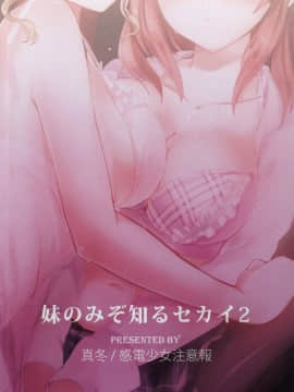 [不可视汉化] (C78) [感電少女注意報 (真冬)] 妹のみぞ知るセカイ2 (うみねこのなく頃に)_26