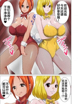 [Q同人]バニーサービス (海賊王) [紫苑汉化组]_03