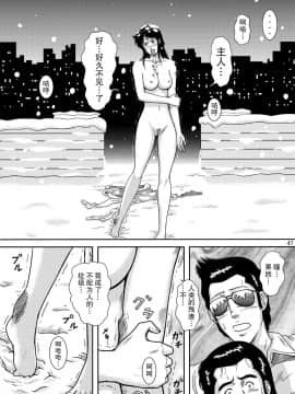 [不咕鸟汉化组] [アトリエピンポイント (クラック)] 夜間飛行 vol.10 PLEASE COME HOME for X'mas (キャッツ・アイ)_47