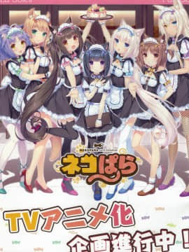 NEKO WORKS News(NOT FOR SALE) Copy version_01042008