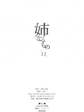 [ぽち小屋。 (ぽち。)] 姉なるもの 11 [中国翻訳] [DL版]_26_o11_26