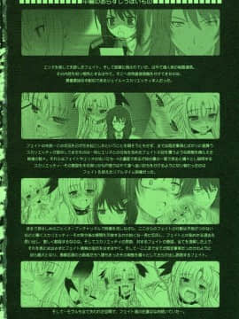 [新桥月白日语社] (C76) [DIEPPE FACTORY Darkside (あるぴーぬ)] FATE FIRE WITH FIRE 3 (魔法少女リリカルなのは)_004