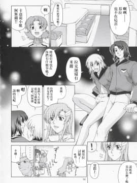 [风油精汉化组] (C67) [GOLD RUSH (鈴木あどれす)] Edition (表) (機動戦士ガンダムSEED)_13