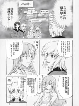 [风油精汉化组] (C67) [GOLD RUSH (鈴木あどれす)] Edition (表) (機動戦士ガンダムSEED)_14