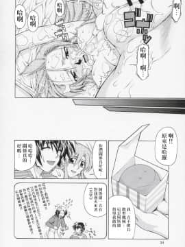 [风油精汉化组] (C67) [GOLD RUSH (鈴木あどれす)] Edition (表) (機動戦士ガンダムSEED)_33