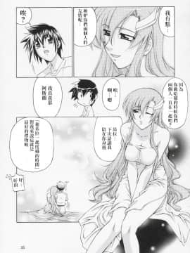 [风油精汉化组] (C67) [GOLD RUSH (鈴木あどれす)] Edition (表) (機動戦士ガンダムSEED)_34