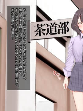 [あろはそふと] 生ハメ禁止とは言ってない自慰我慢生徒会選挙_011_P010