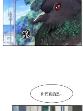 初戀物語 1-62話[完結]_62_1748