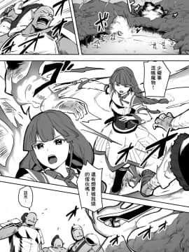 [零食汉化组] [ganimaoh (ganima)] 魔法使いゾアの結末_03