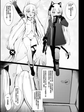 (FF37) [GMKJ] 指揮官的寵物 (少女前線) [中国語]_G41 TMP_003
