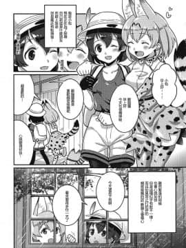 [沒有漢化] (C92) [天堂紙 (梟森)] 大好きに決まってる!! (けものフレンズ)_02