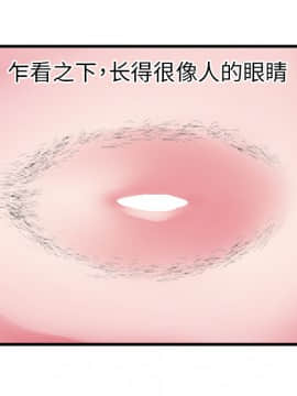 海女 1-11話_01_0086