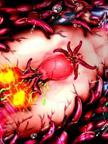 [田中罗密欧个人汉化][RJ295536] [メランコル] 女体化魔法少女 敗北!! 皆の前で子宮の中まで犯されて……俺…男なのに…ッなんでこんなに……イッ!_333_nmsp11