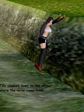 [HoneyHappy] Tifa vs Fly_TVF008