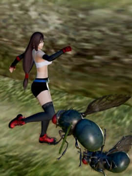 [HoneyHappy] Tifa vs Fly_TVF017