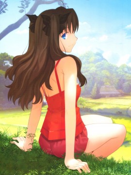 Return to Avalon -Fate Art Works-_092