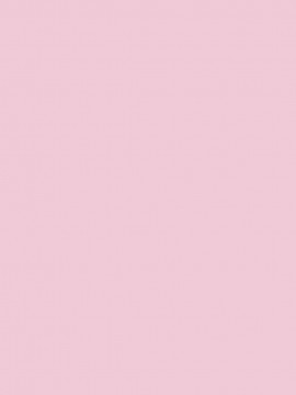 [やながわ理央] LOVEてぃっしゅ_tissue_0001