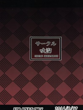 (C86) [吹溜 (吹溜)] ステフゲーム (ノーゲーム・ノーライフ) [脸肿汉化组]_003
