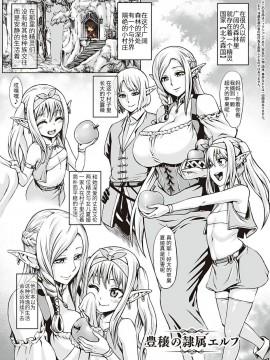 [青豆腐 (ねろましん)] 豊穣の隷属エルフ 01 [鵺去码] [無修正]_03