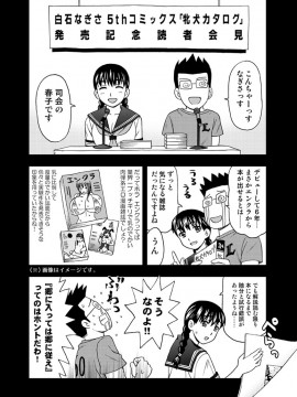 [白石なぎさ] 牝犬カタログ 調教淫婦 [DL版]_179