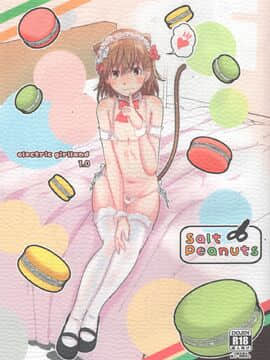 (C97) [Salt Peanuts (にえあ)] Electric Girlland 1.0 (とある科学の超電磁砲)
